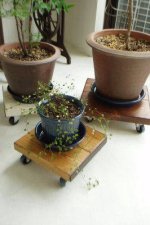 流木・古材家具